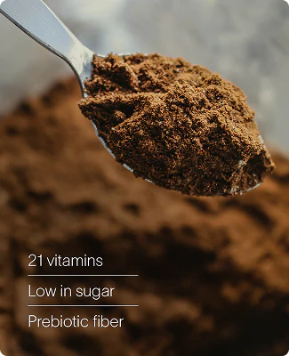 Fast Shake - Chocolate