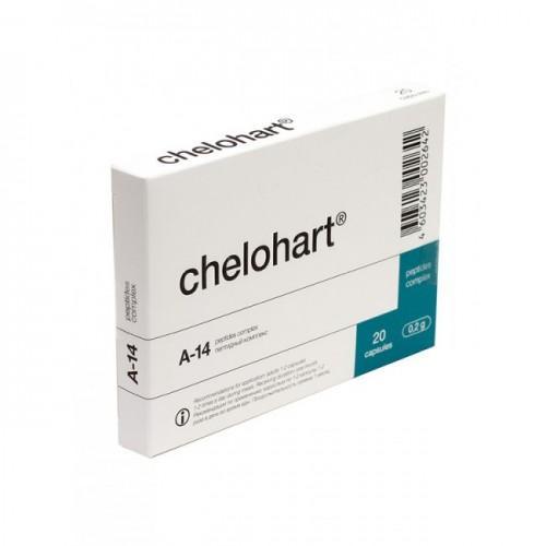 A-14 Heart (Chelohart)